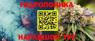 тгк Будённовск