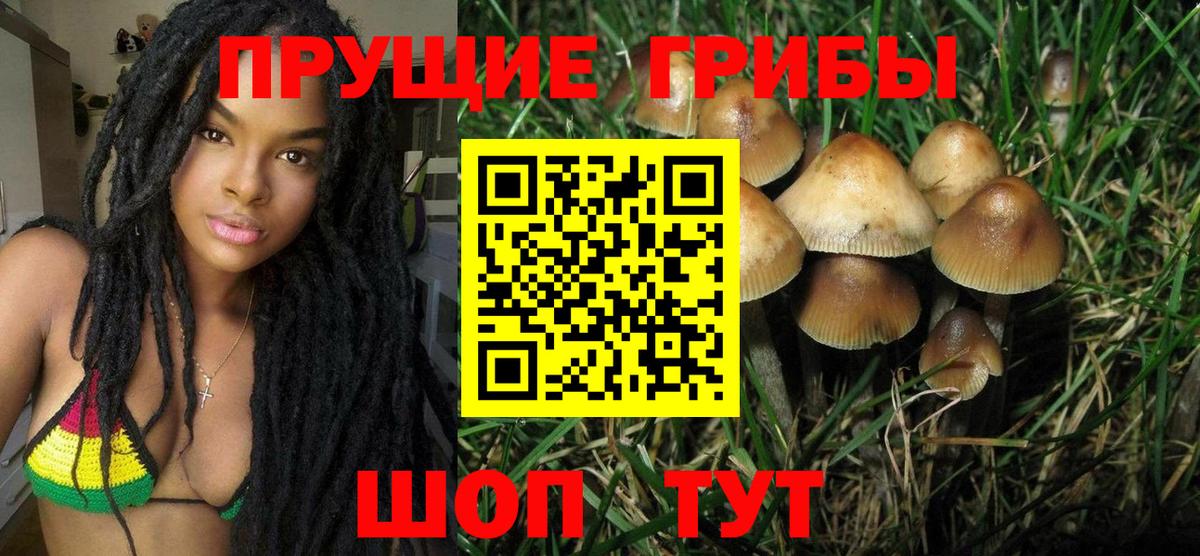 Псилоцибиновые грибы прущие грибы Тавда