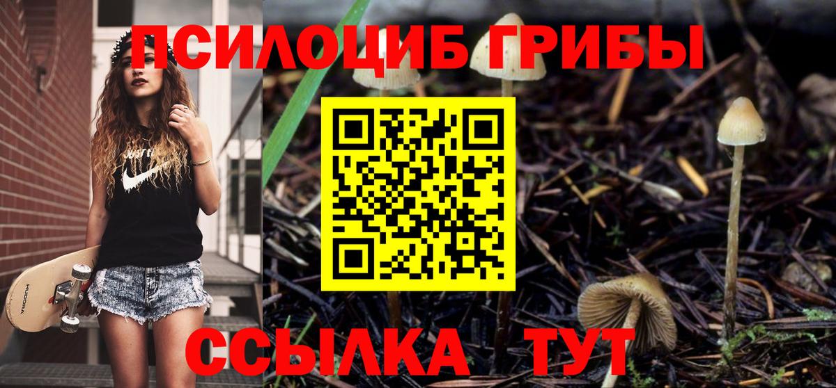 Псилоцибиновые грибы MAGIC MUSHROOMS  Вход с VPN  Тавда  Галлюциногенные грибы мицелий 